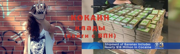 хмурый Абаза