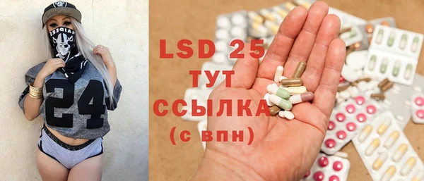 хмурый Абаза