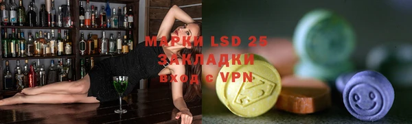 хмурый Абаза