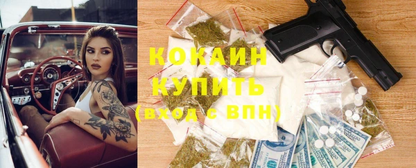 хмурый Абаза